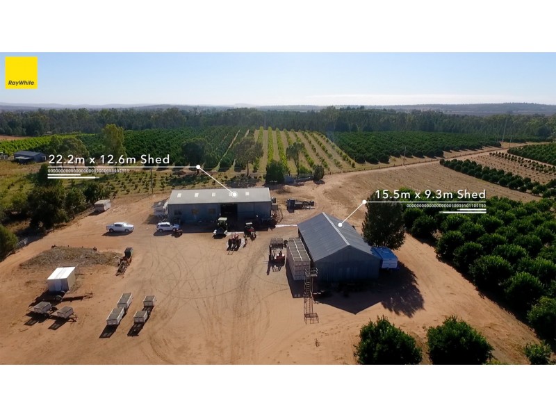 Farm 1572 42 Stannard Road, Cudgel NSW 2700