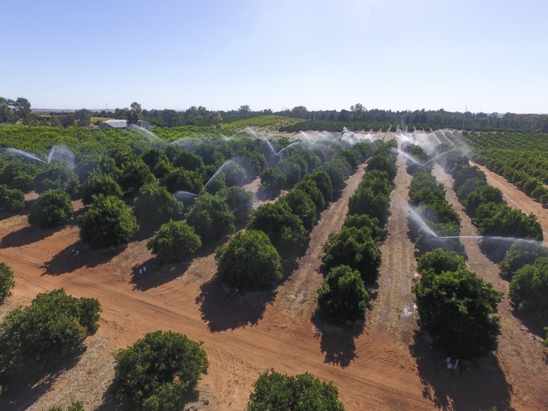 Farm 1572 42 Stannard Road, Cudgel NSW 2700