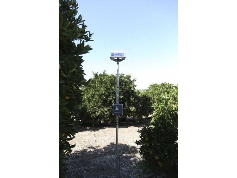 Farm 1572 42 Stannard Road, Cudgel NSW 2700