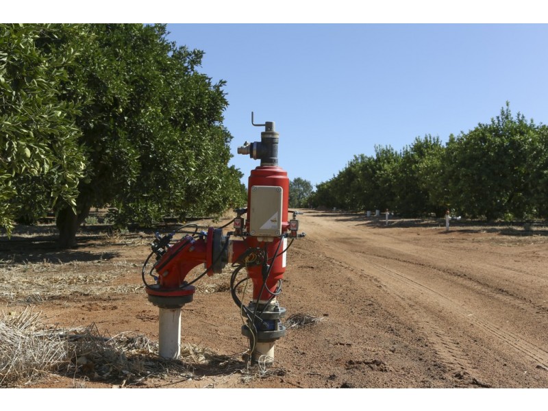 Farm 1572 42 Stannard Road, Cudgel NSW 2700