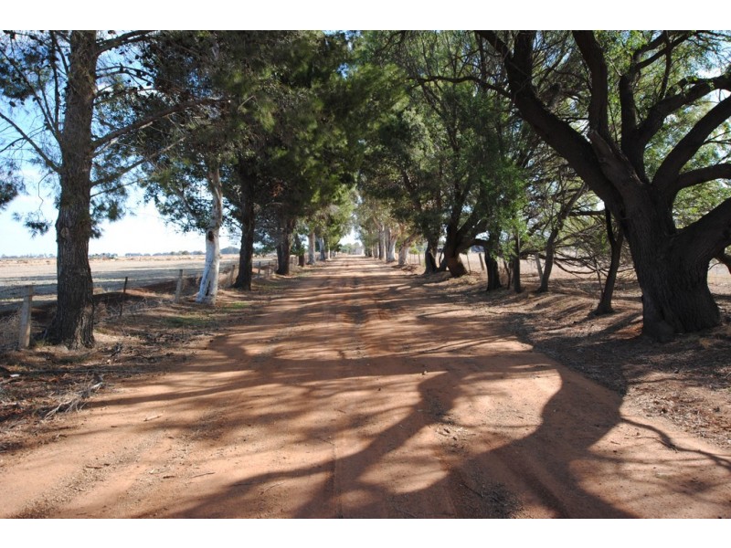 Farms 1722, 1120 and 1134a, Murrami NSW 2705