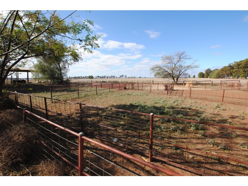 Farms 1722, 1120 and 1134a, Murrami NSW 2705