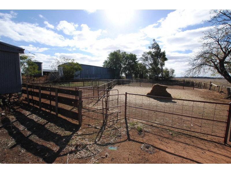 Farms 1722, 1120 and 1134a, Murrami NSW 2705