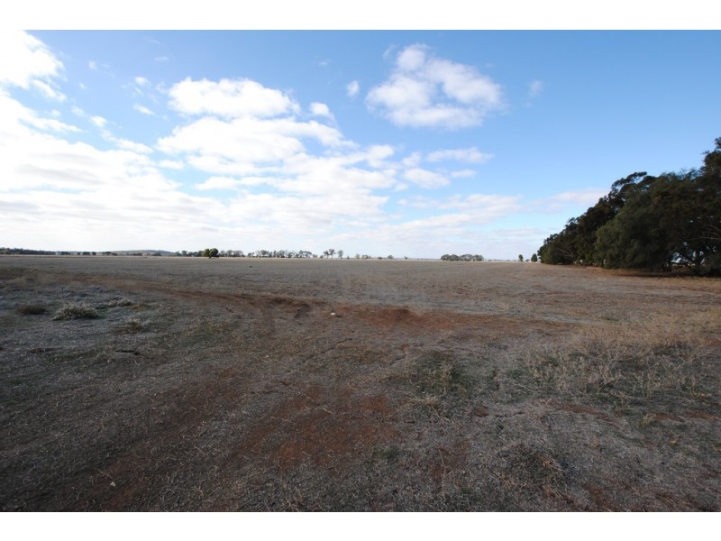 Farms 1722, 1120 and 1134a, Murrami NSW 2705