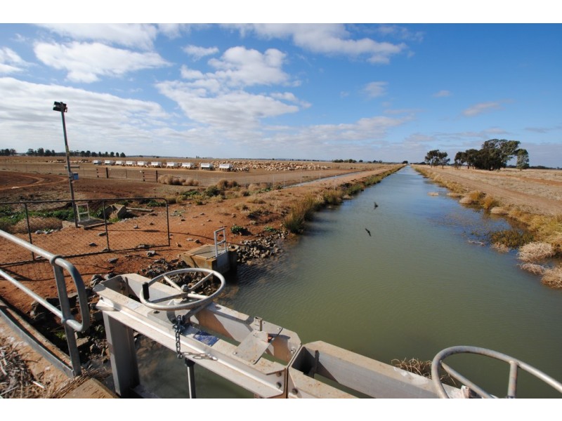 Farms 1722, 1120 and 1134a, Murrami NSW 2705