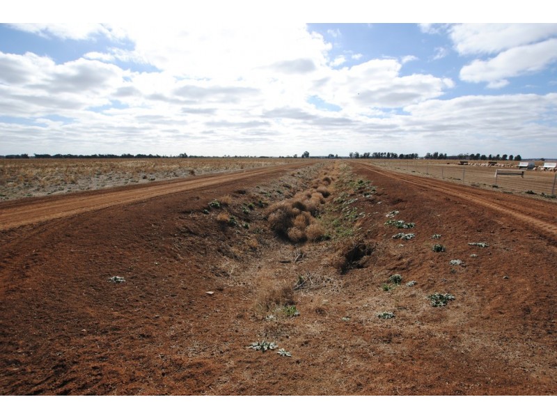 Farms 1722, 1120 and 1134a, Murrami NSW 2705