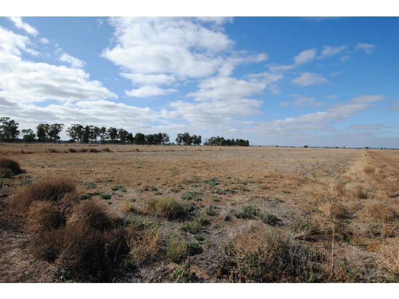 Farms 1722, 1120 and 1134a, Murrami NSW 2705