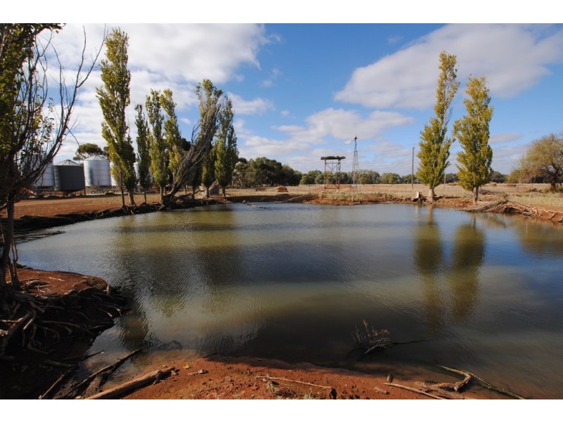 Farms 1722, 1120 and 1134a, Murrami NSW 2705