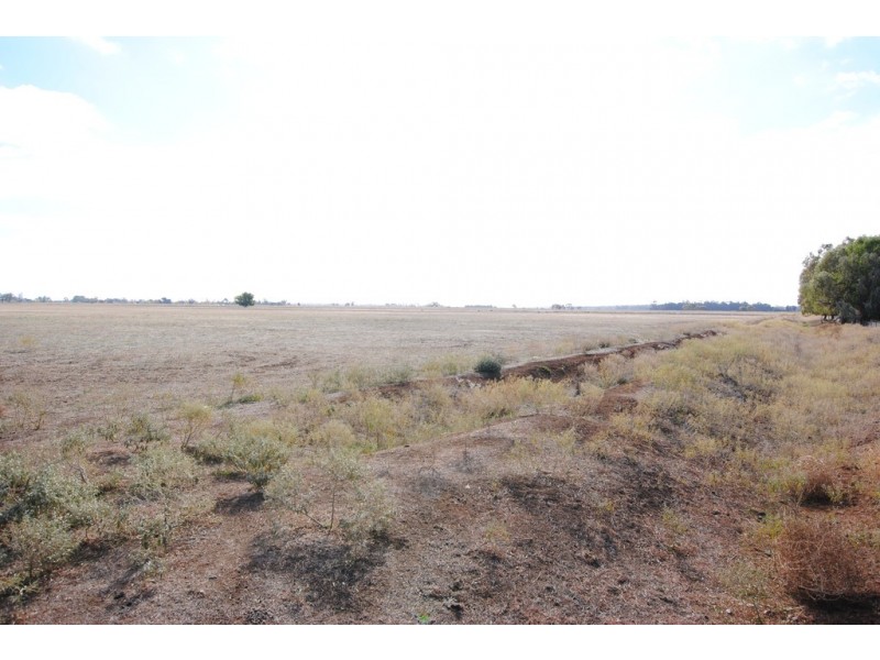 Farms 1722, 1120 and 1134a, Murrami NSW 2705