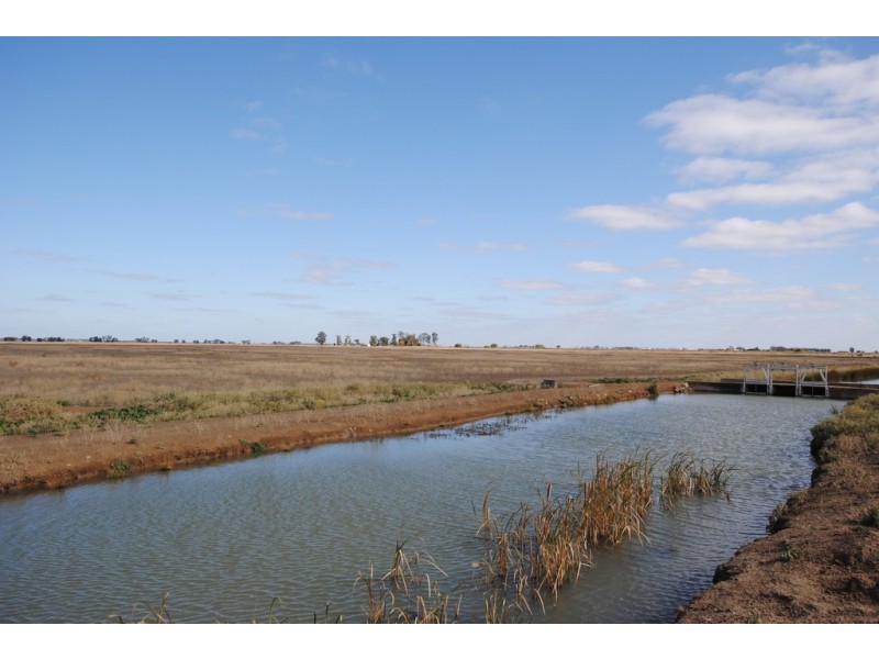 Farms 1722, 1120 and 1134a, Murrami NSW 2705