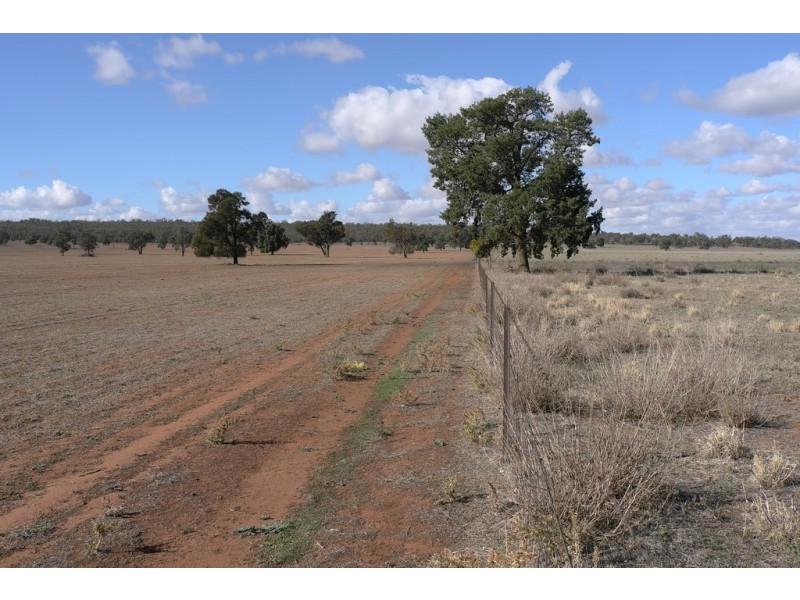 Narrandera NSW 2700