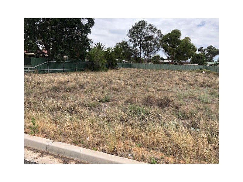 69 Barwidgee Boulevard, Darlington Point NSW 2706