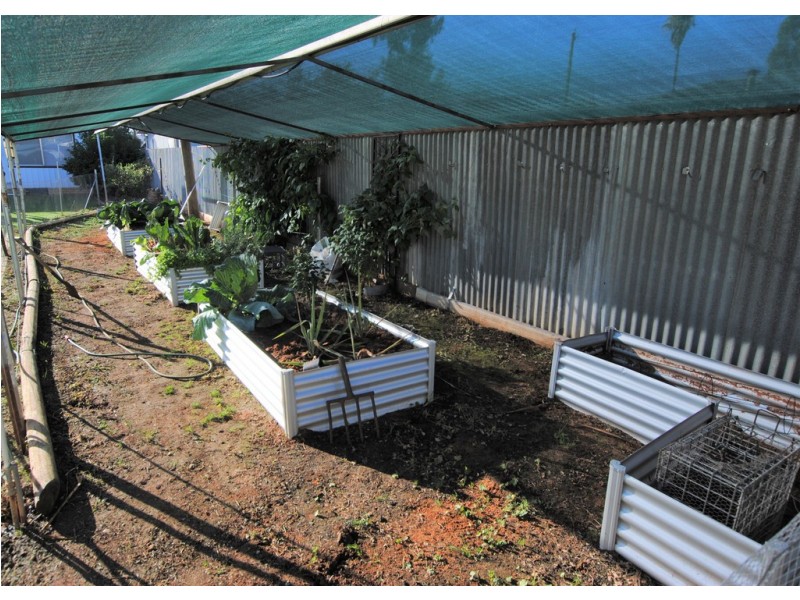 46 Mirrool Avenue, Yenda NSW 2681