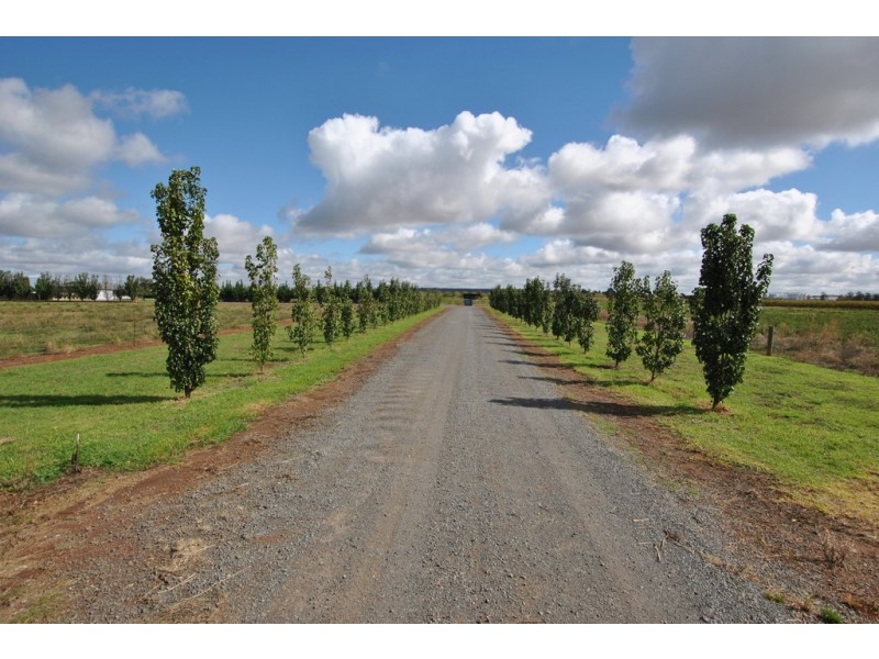89 Moseley Road, Bilbul NSW 2680