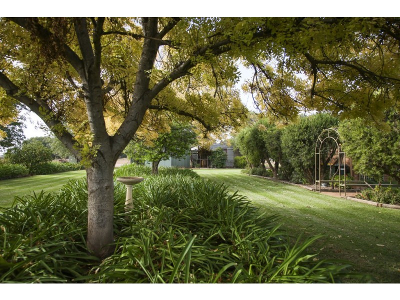 1186 Walla Avenue, Griffith NSW 2680