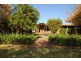 1186 Walla Avenue, Griffith NSW 2680