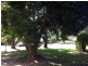 Coleambally NSW 2707
