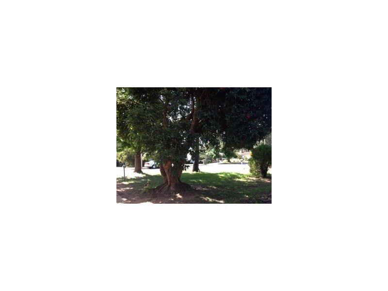 Coleambally NSW 2707