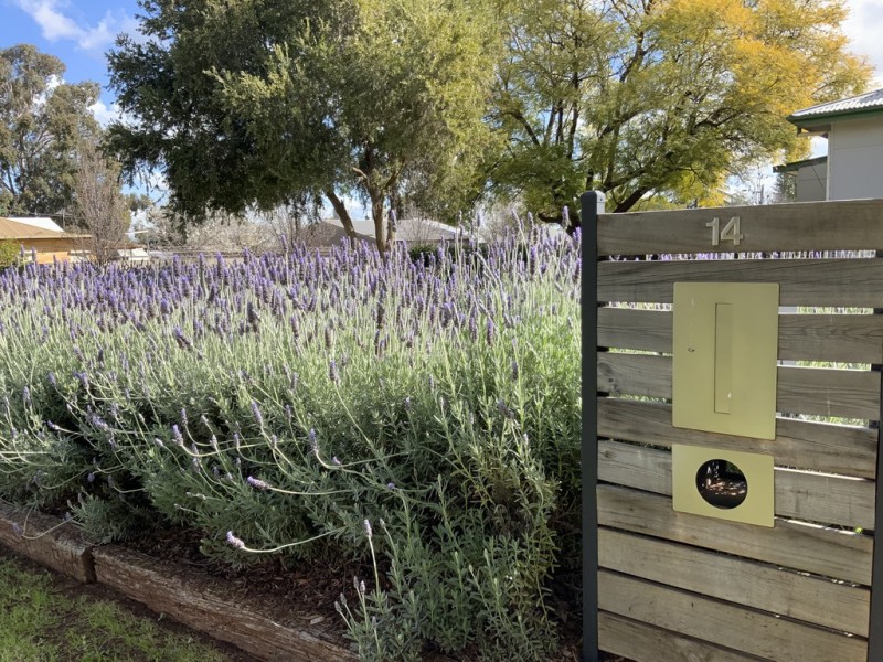 14 Carinya Street, Griffith NSW 2680