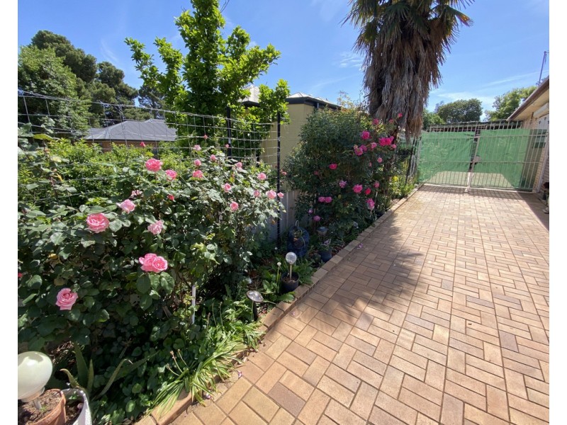 51 Cutler Avenue, Griffith NSW 2680