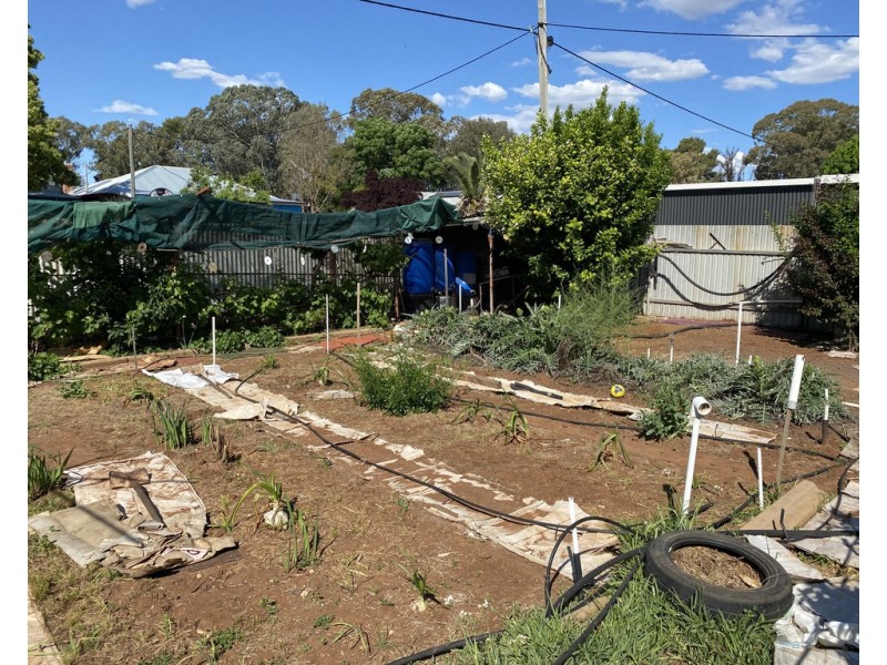 51 Cutler Avenue, Griffith NSW 2680