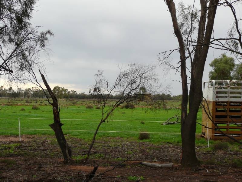 Farm 218 Elaroo Road, Coleambally NSW 2707