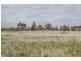 Farm 2695 Martins Road, Widgelli NSW 2680