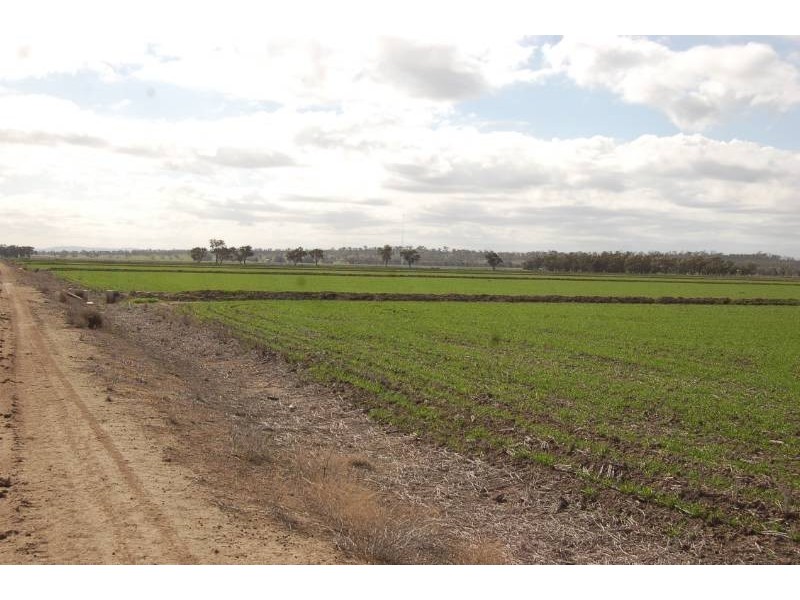 Farm 2695 Martins Road, Widgelli NSW 2680