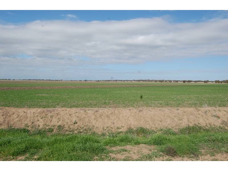 Farm 2695 Martins Road, Widgelli NSW 2680