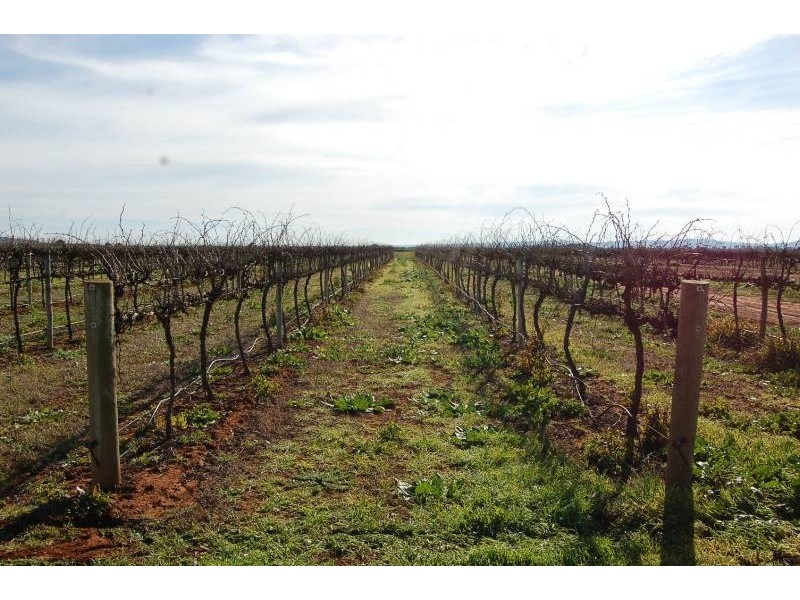 Farm 564a Kearey Road, Bilbul NSW 2680