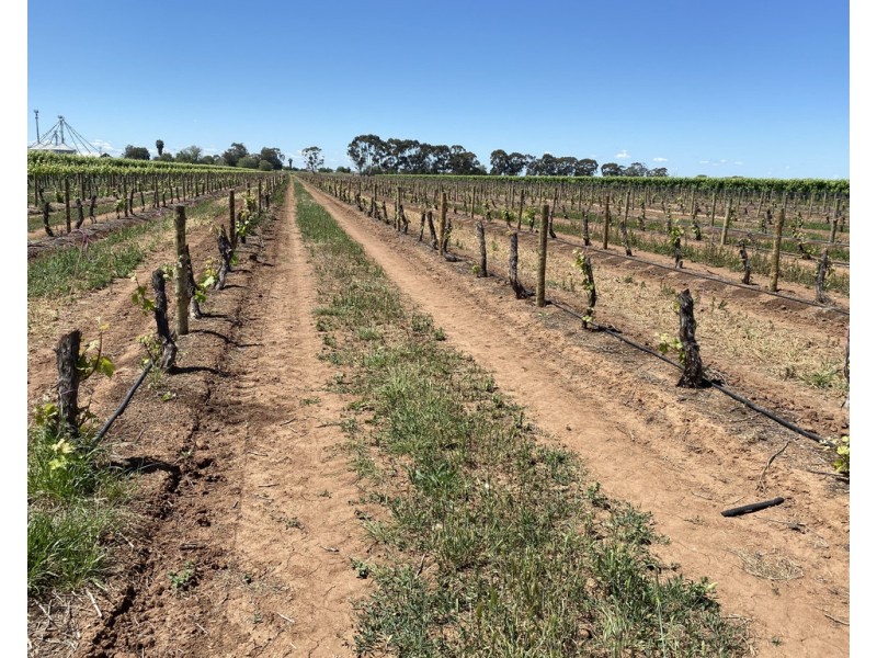 Farm 415 Yenda Road, Yenda NSW 2681