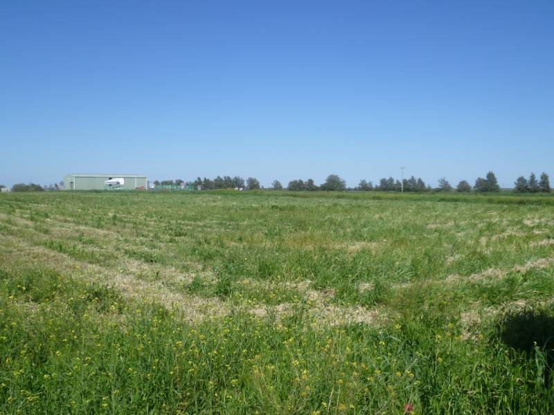 Farm 1054a  Kidman Way, Griffith NSW 2680