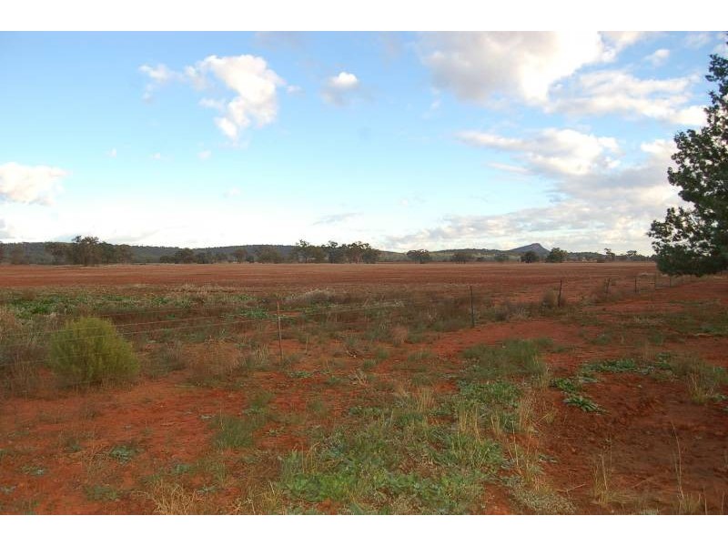 Wallanthery NSW 2675