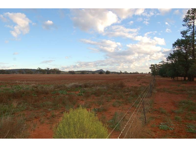 Wallanthery NSW 2675