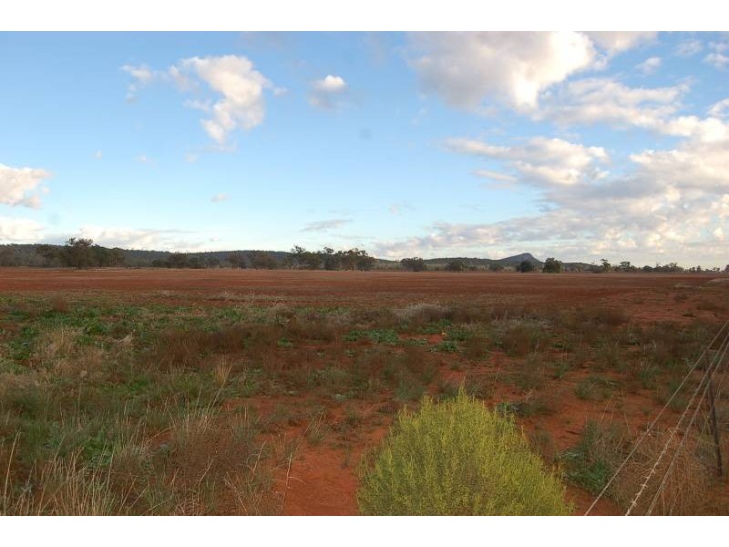 Wallanthery NSW 2675