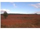 Wallanthery NSW 2675