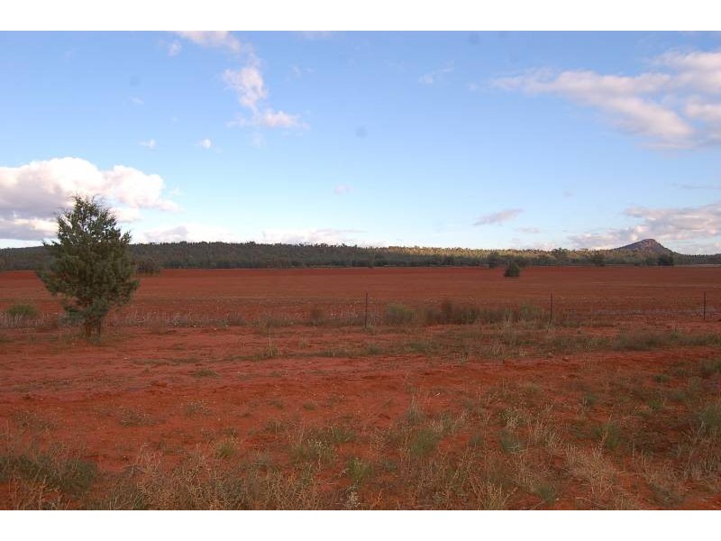 Wallanthery NSW 2675