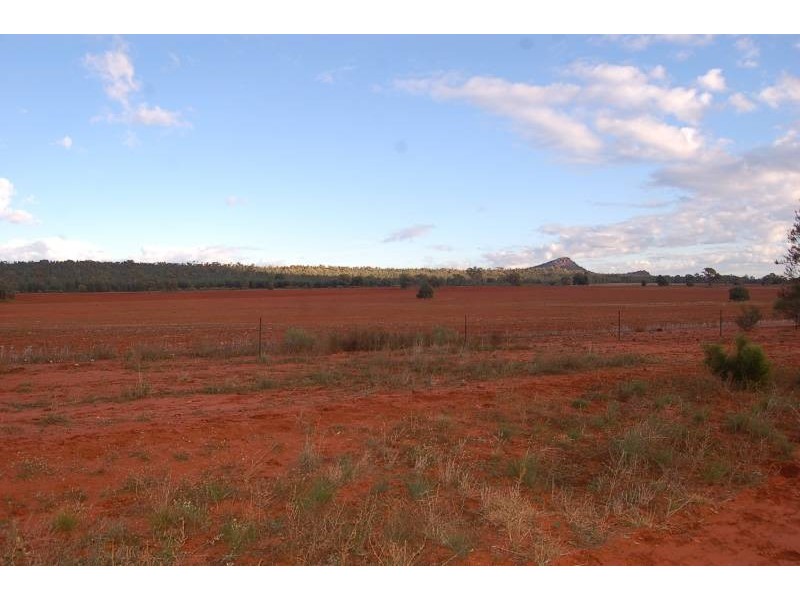 Wallanthery NSW 2675