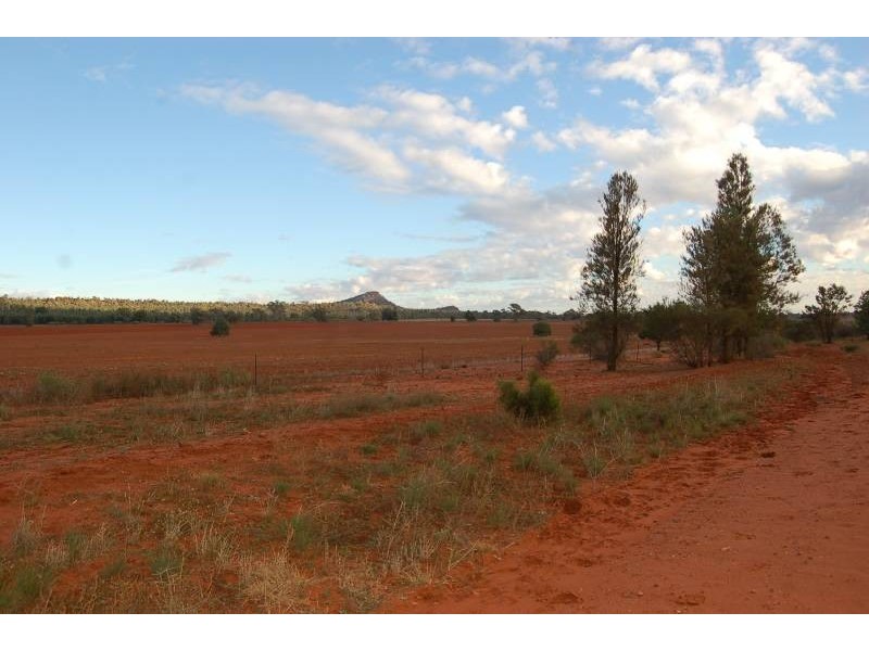 Wallanthery NSW 2675