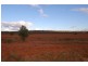 Wallanthery NSW 2675