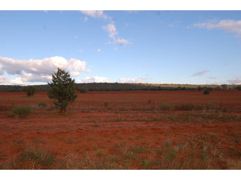 Wallanthery NSW 2675