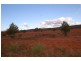 Wallanthery NSW 2675
