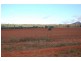 Wallanthery NSW 2675