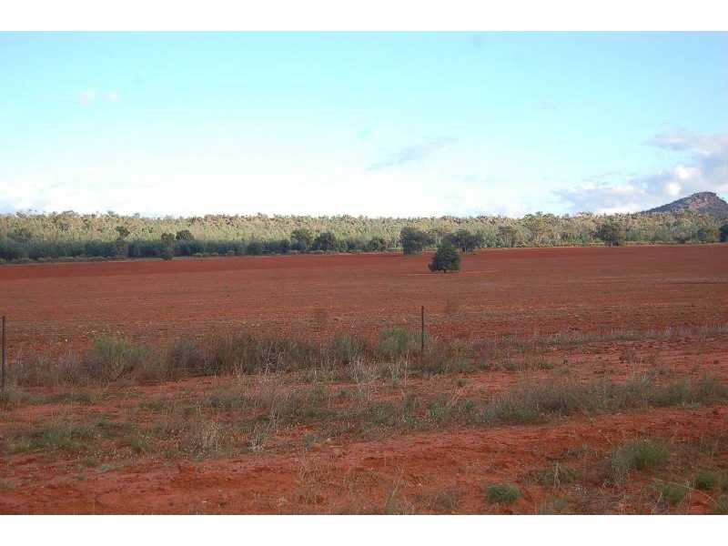 Wallanthery NSW 2675