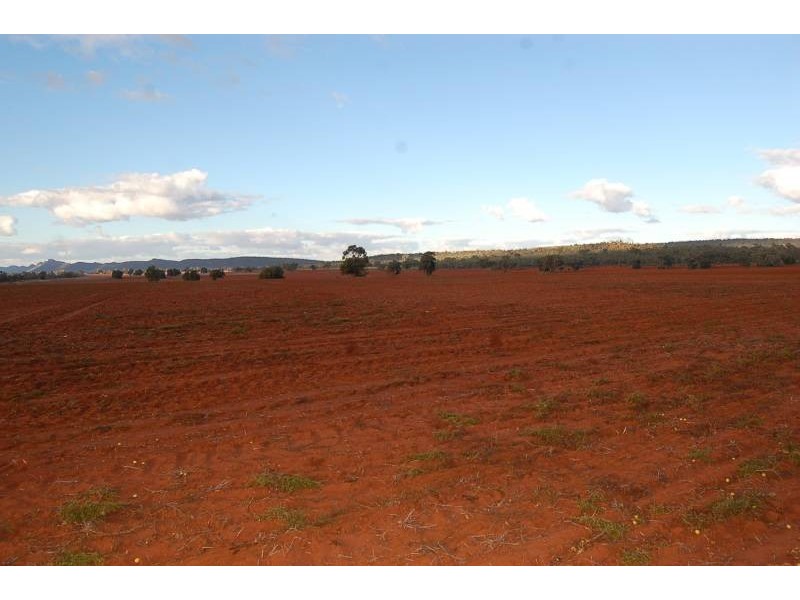 Wallanthery NSW 2675
