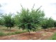 Farm 3 Sainty Road, Hanwood NSW 2680