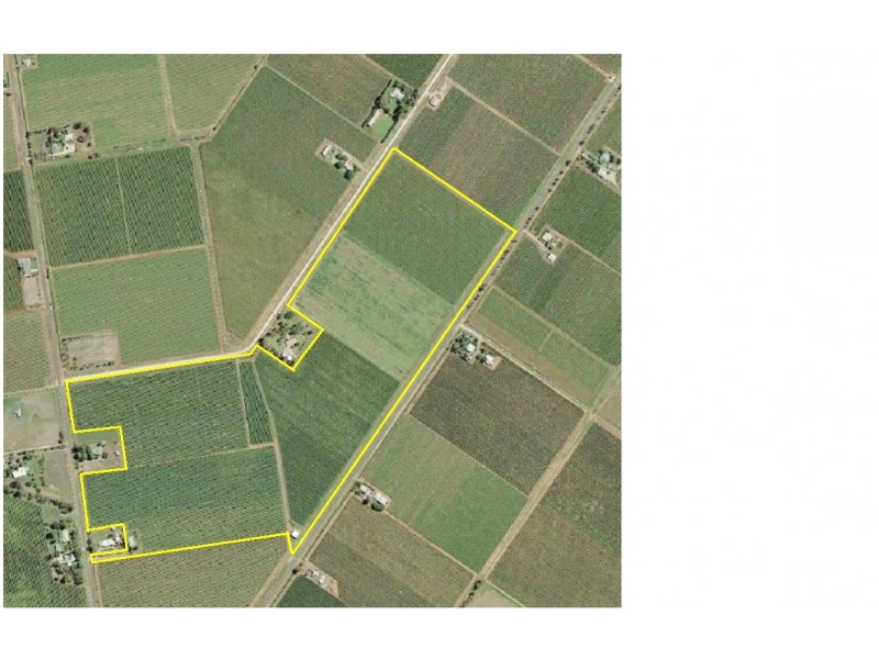 Farm 1561 Pratt Road, Yenda NSW 2681