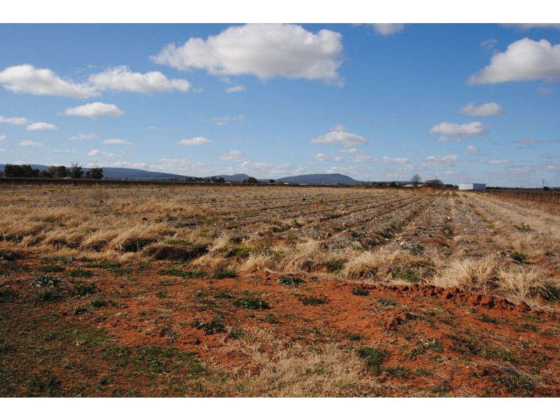 Farm 1561 Pratt Road, Yenda NSW 2681