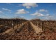 Farm 1561 Pratt Road, Yenda NSW 2681