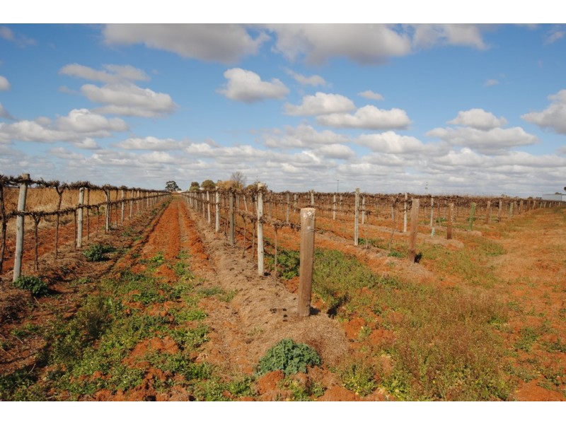 Farm 1561 Pratt Road, Yenda NSW 2681